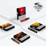 ديسبوزبل V4 تاغبوت كاسل